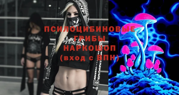 молекула духа Абинск